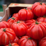 помидоры ребристые польза